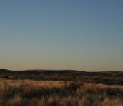 Thanksgiving 2008 230